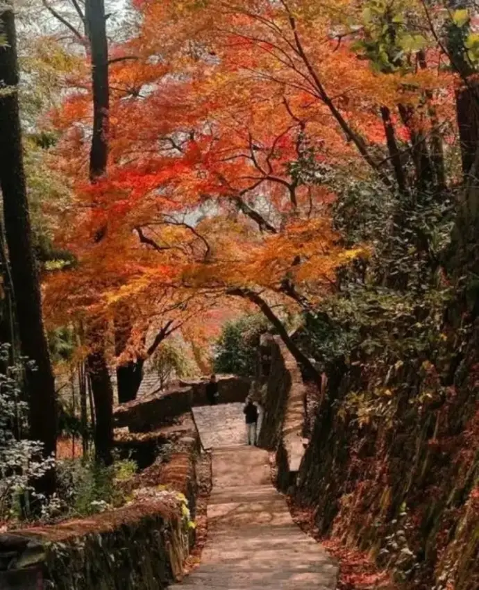 秋天