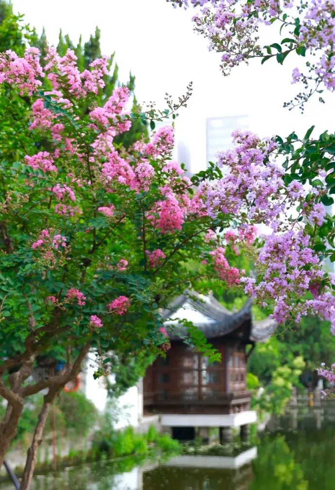 南京