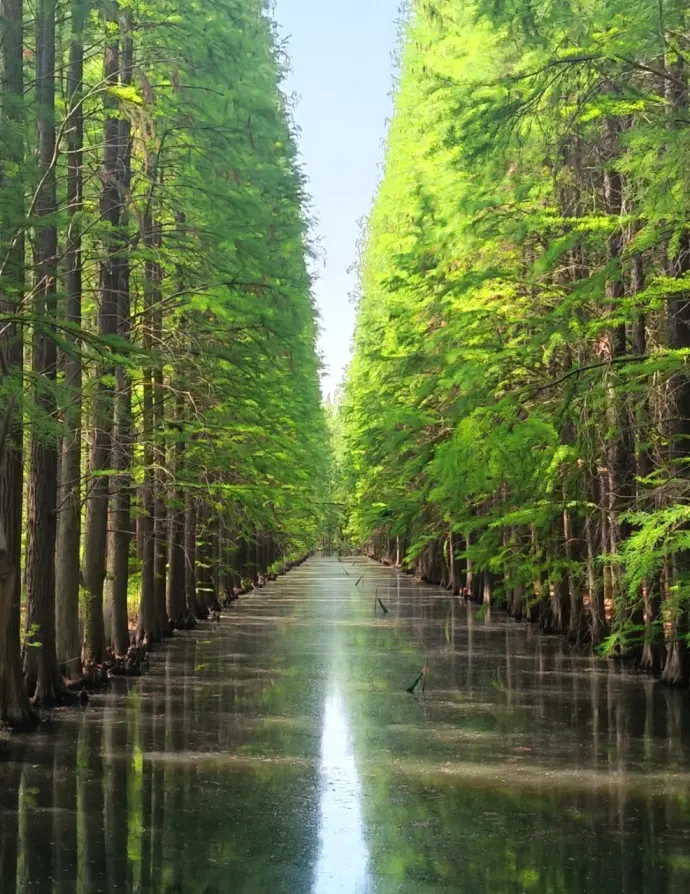 金湖