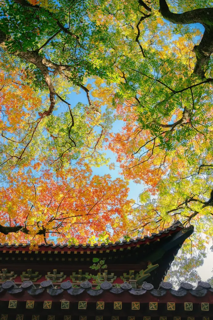 江苏