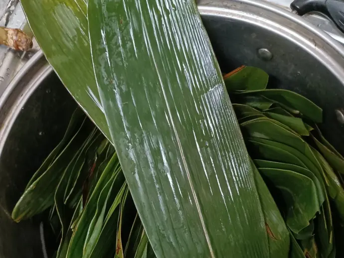 月河