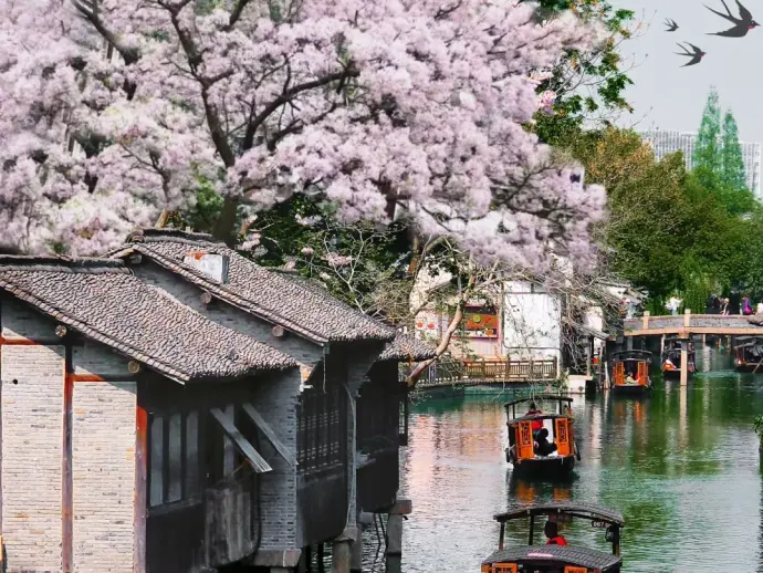 浙江