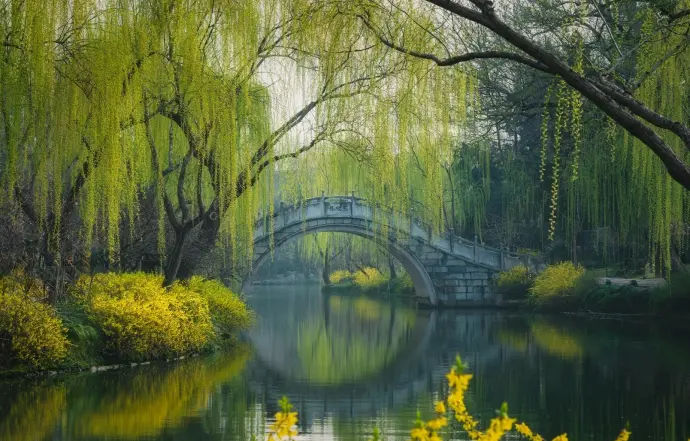 西湖风景