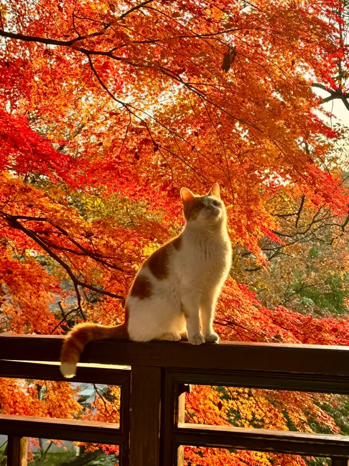 江苏