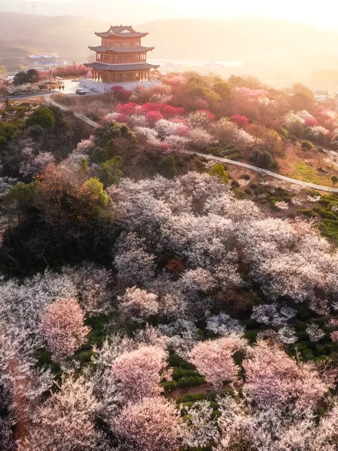 江苏