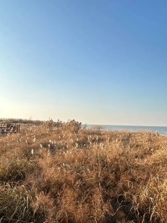 洪泽湖