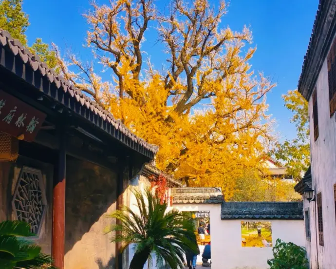梅花洲古镇