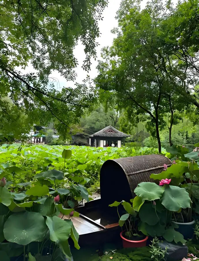 莲花庄公园