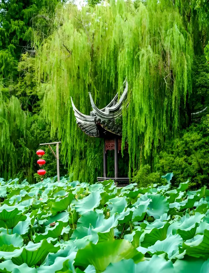 小莲庄