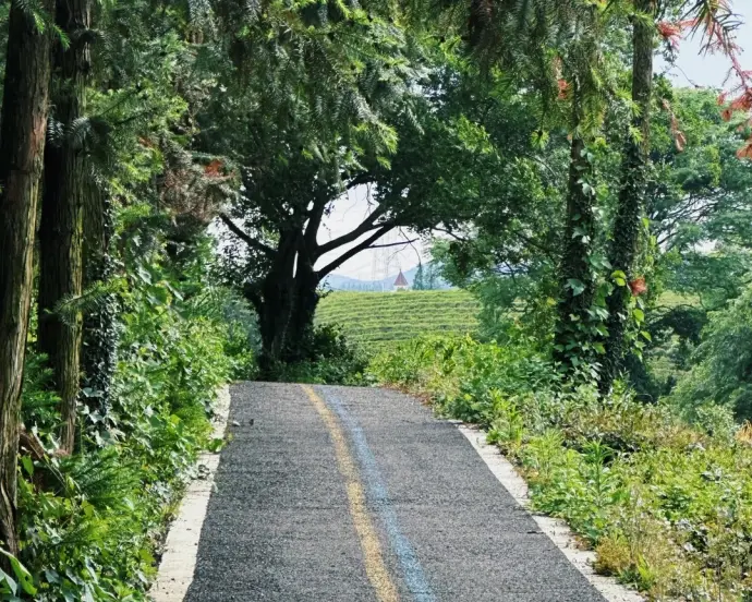 黄家山