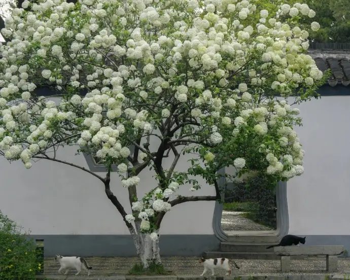 南京