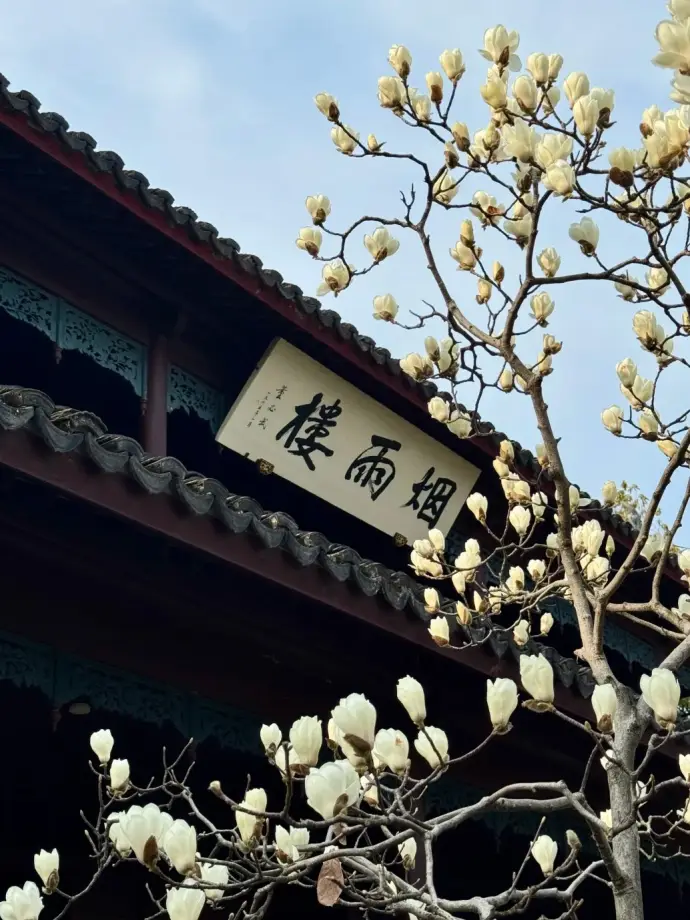嘉兴赏花