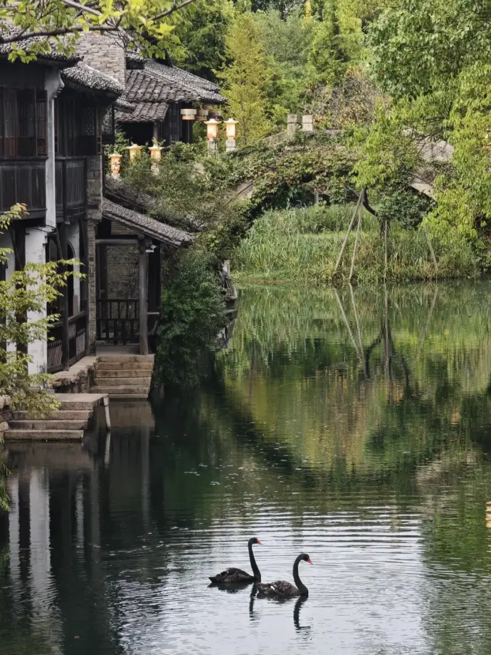 濮院古镇