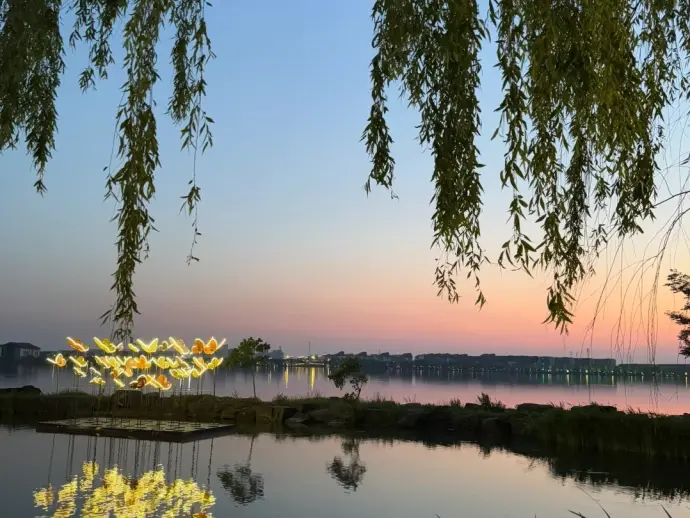 湘家荡夜景