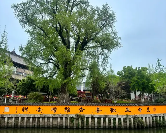 嘉兴夏季