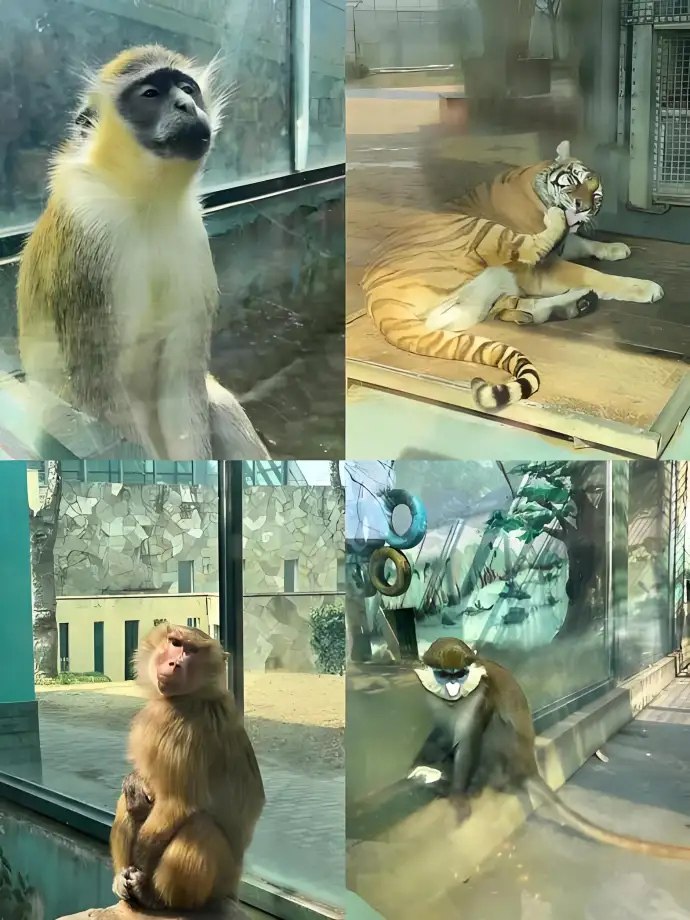 动物园