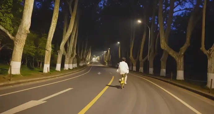 梧桐大道