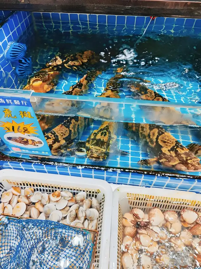 选海鲜