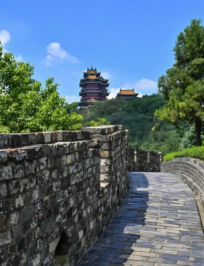路面
