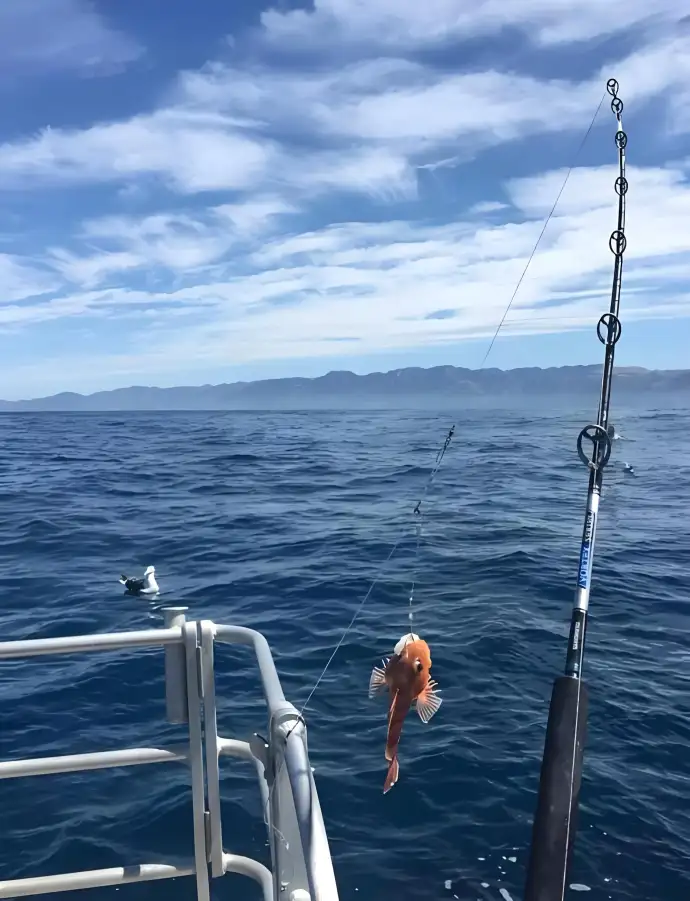 海钓