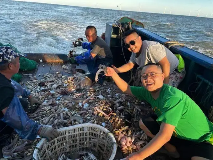 出海