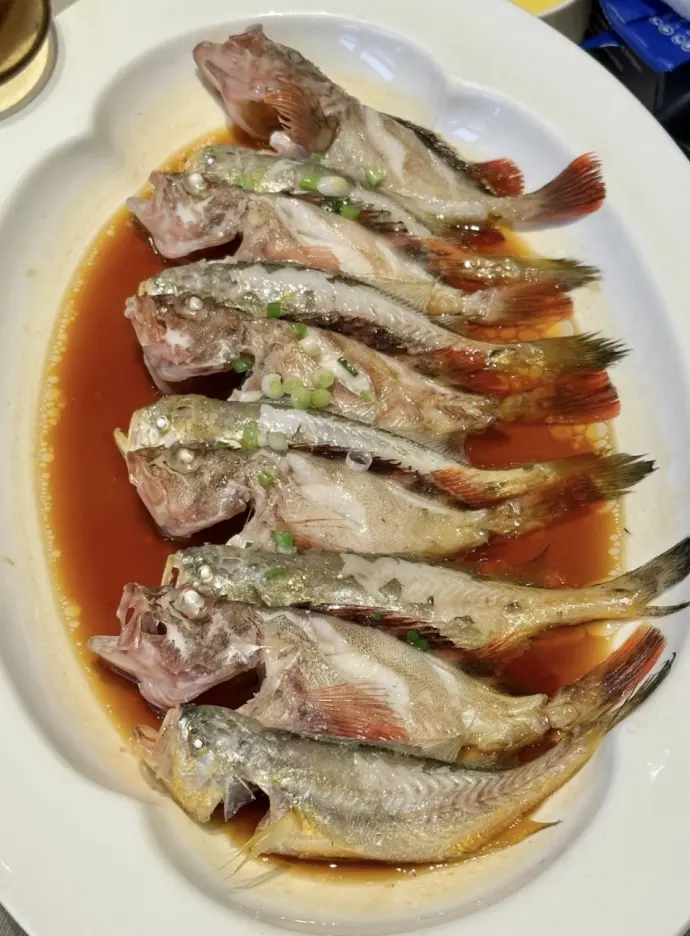 虎头鱼