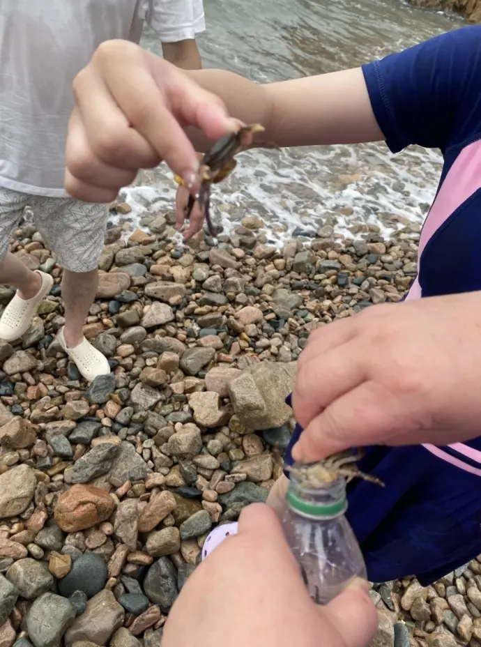 赶海