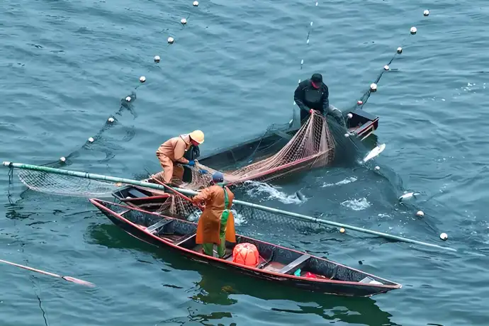 撒网