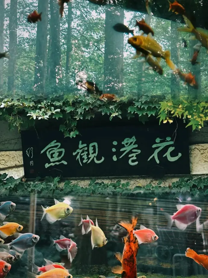 西湖