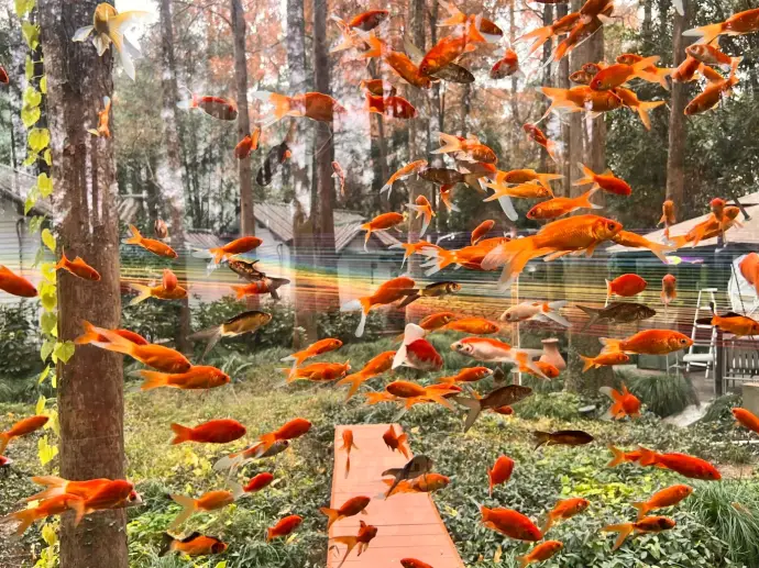 西湖