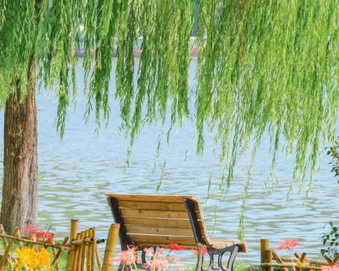 西湖