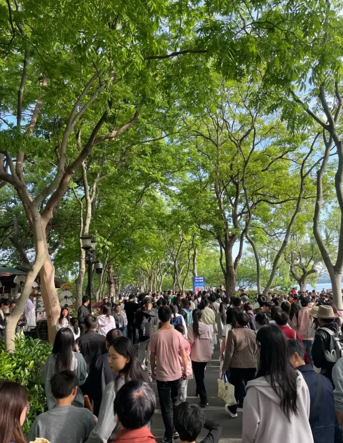 西湖苏堤