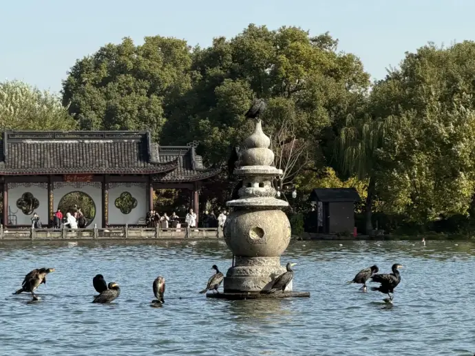 西湖