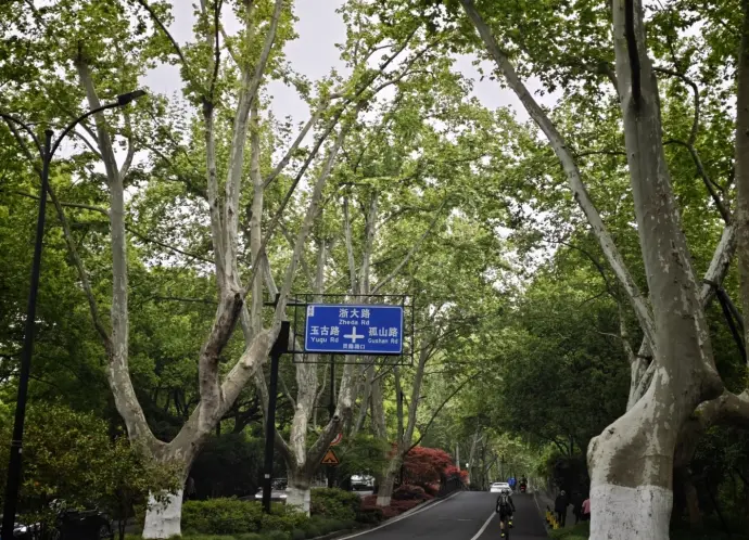 杨公堤