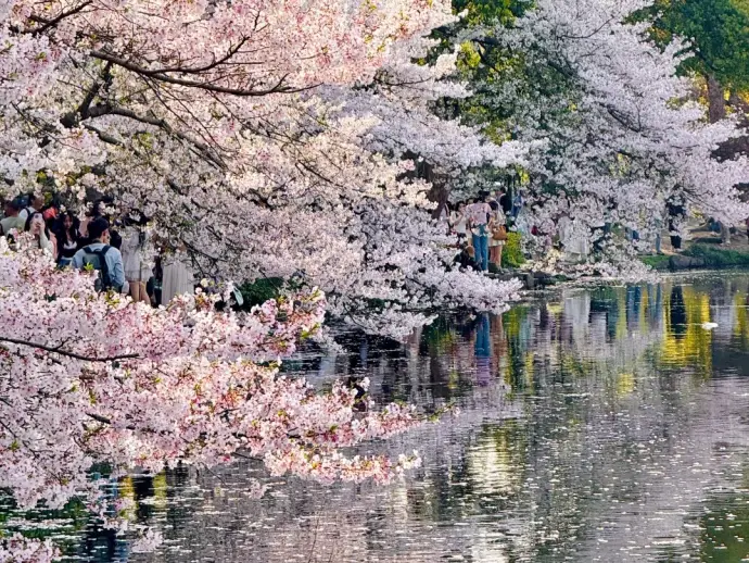 西湖