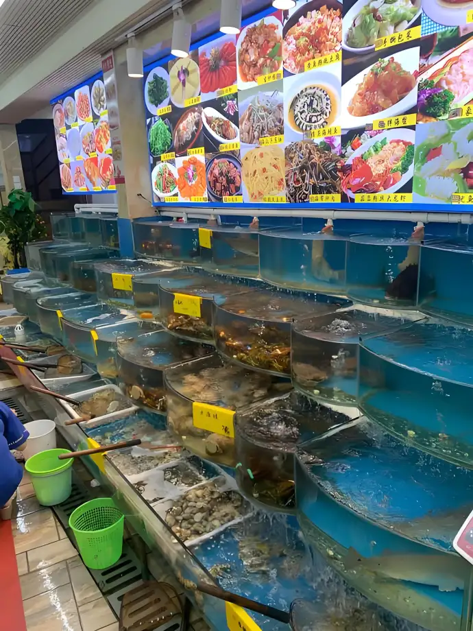 美食避坑