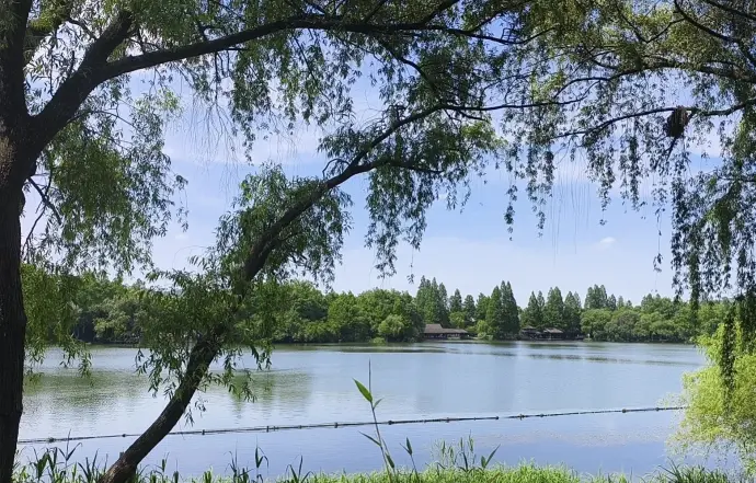 西湖