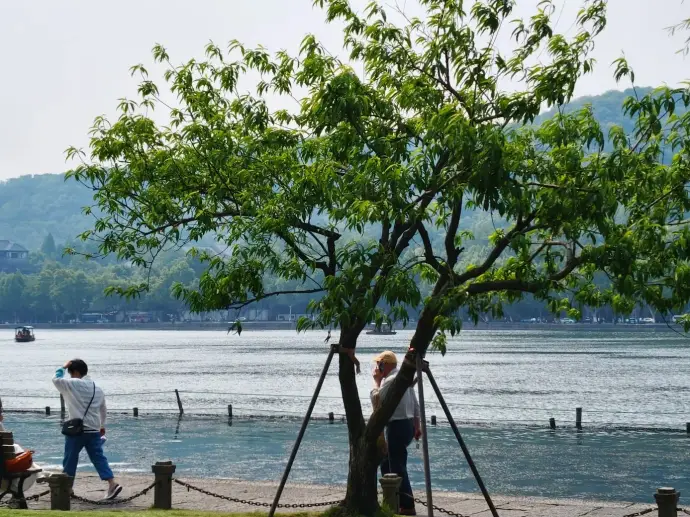 西湖