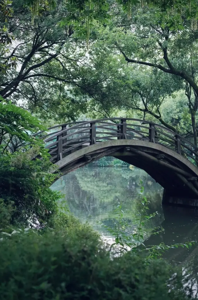 茅家埠