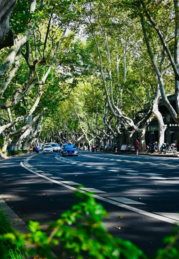 杭州南山路
