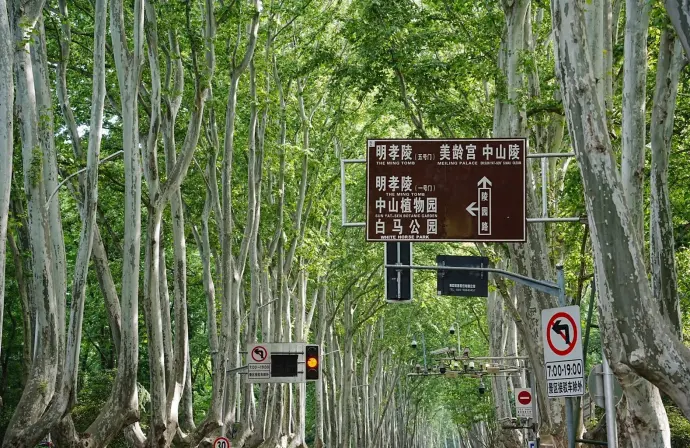 钟山