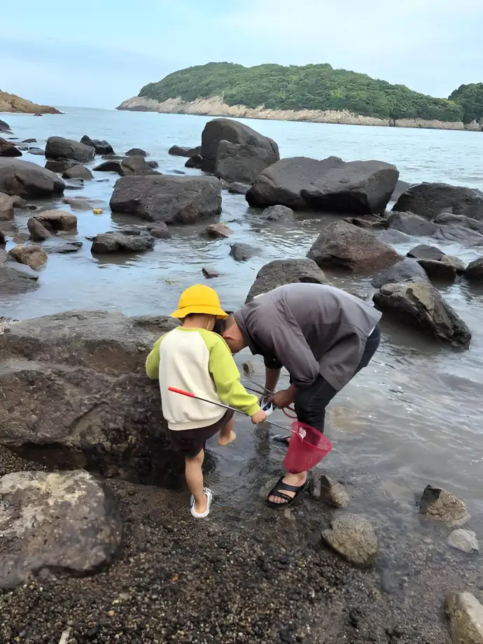 赶海