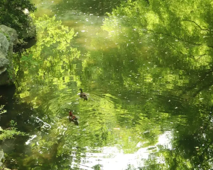 西湖