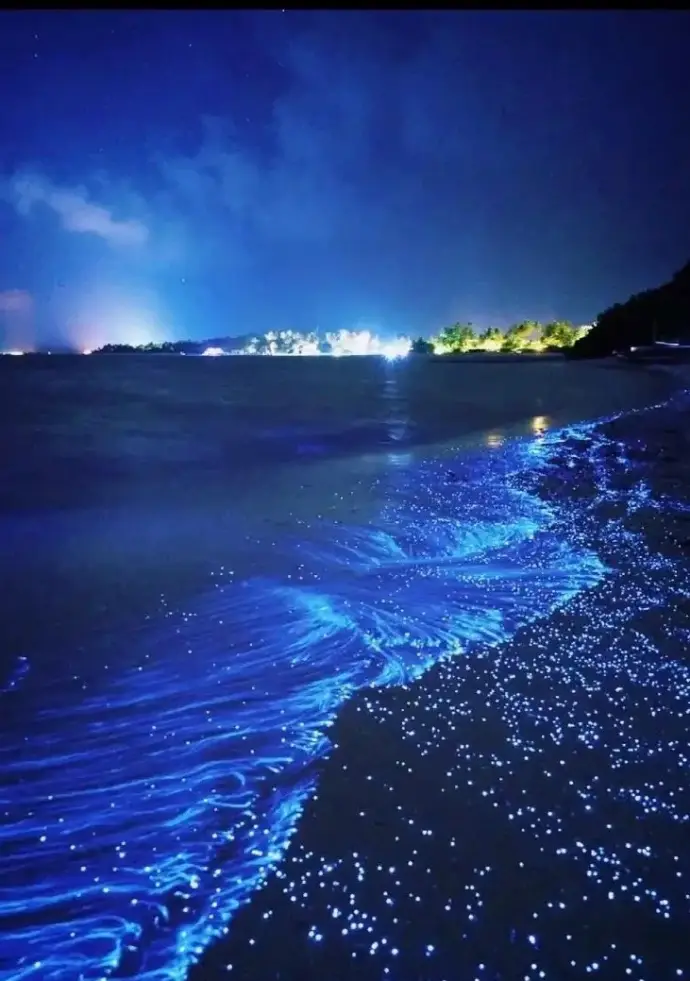 海