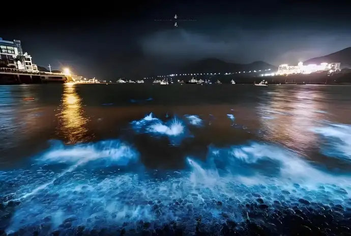 夜景