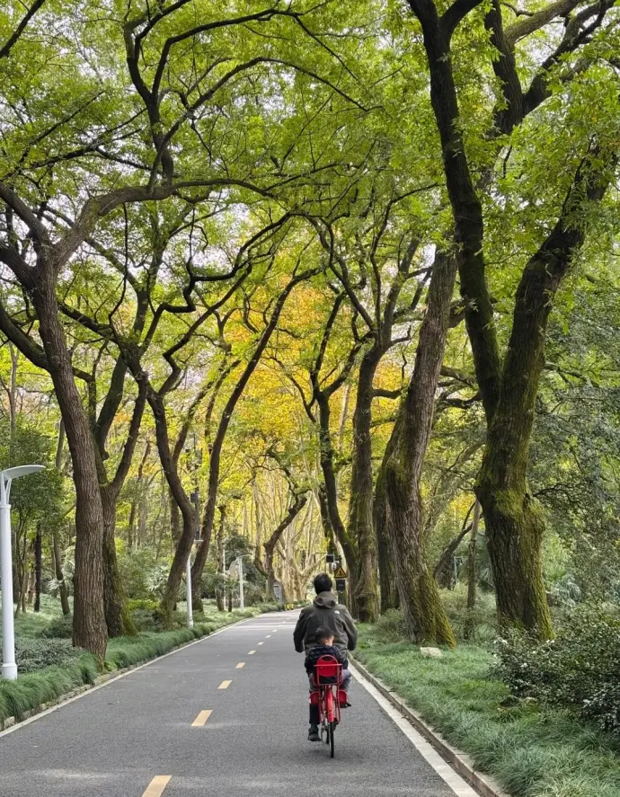 杨公堤骑行