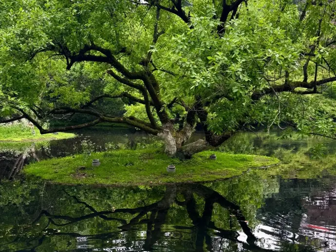 西湖