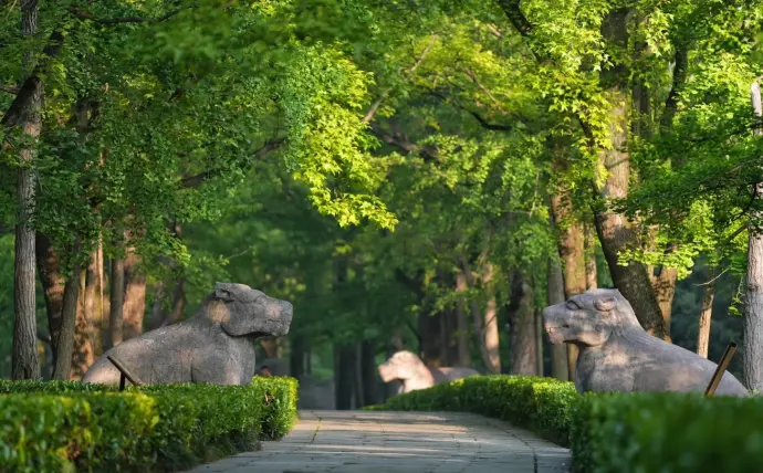 石象路