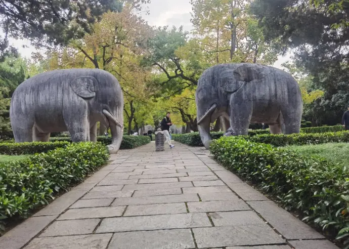 明孝陵石象路