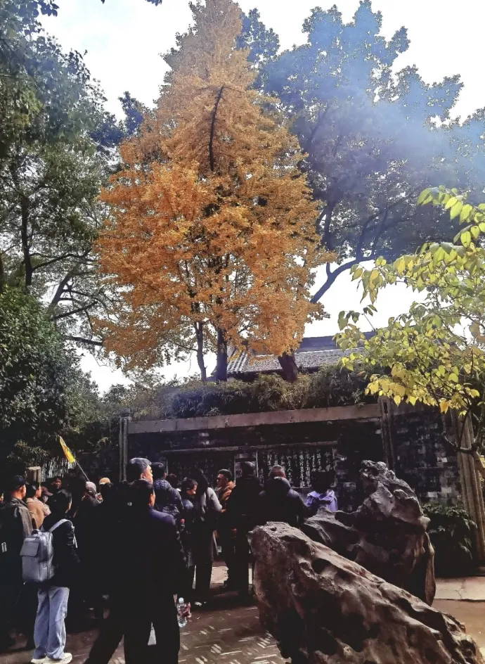 钗头凤广场